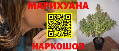 винт Донской