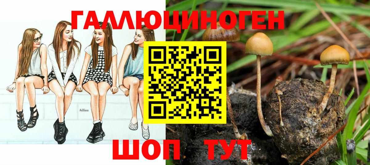 что такое   Псилоцибиновые грибы мицелий  Вход с VPN  Урюпинск 